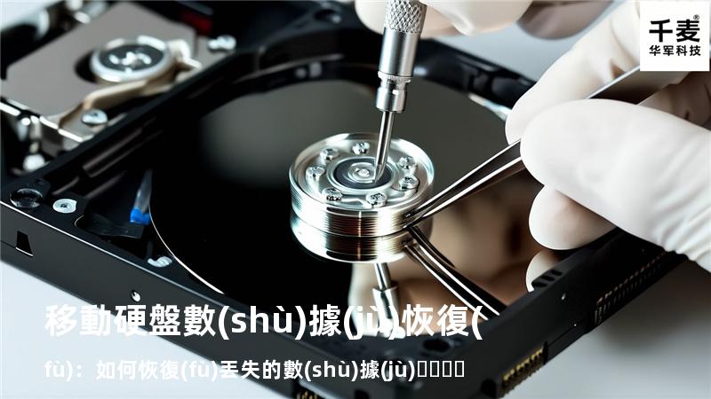 移動硬盤數(shù)據(jù)恢復(fù)：如何恢復(fù)丟失的數(shù)據(jù)，找回重要文件